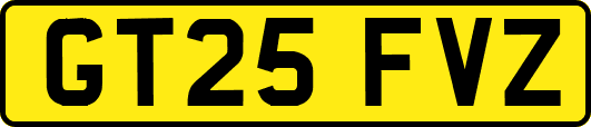 GT25FVZ