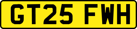 GT25FWH