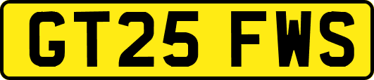 GT25FWS
