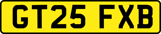GT25FXB