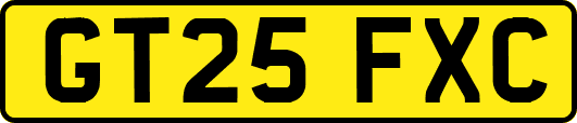 GT25FXC