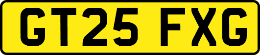GT25FXG