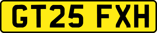 GT25FXH