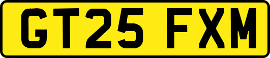 GT25FXM