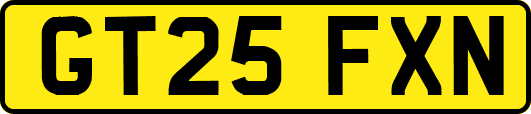 GT25FXN