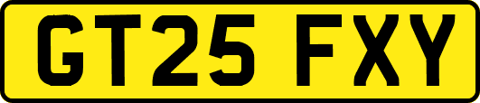 GT25FXY