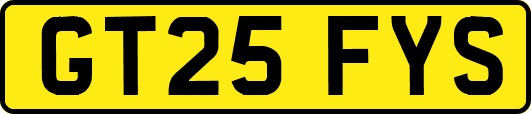 GT25FYS