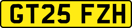 GT25FZH