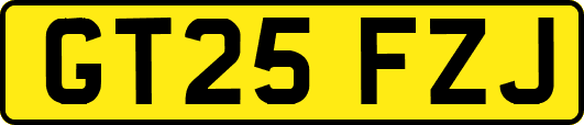 GT25FZJ