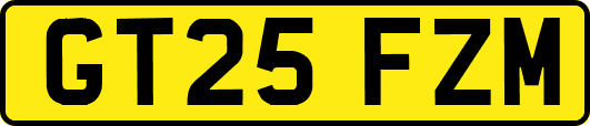 GT25FZM