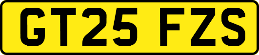 GT25FZS