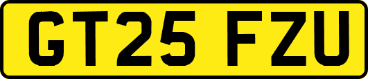 GT25FZU