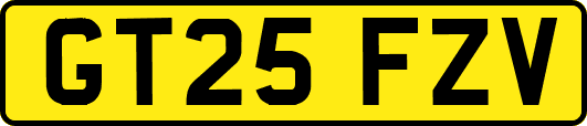 GT25FZV