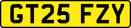 GT25FZY