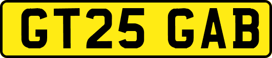 GT25GAB