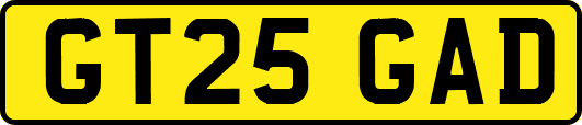 GT25GAD