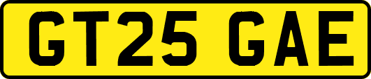 GT25GAE
