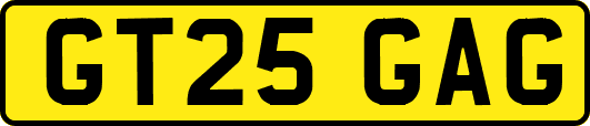 GT25GAG