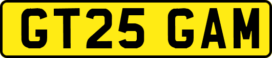 GT25GAM
