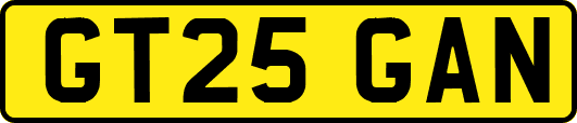 GT25GAN
