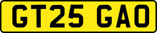 GT25GAO