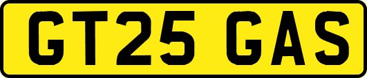 GT25GAS