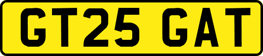 GT25GAT
