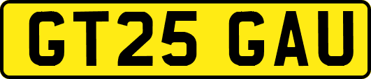 GT25GAU