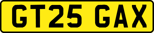 GT25GAX