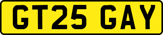 GT25GAY