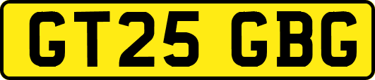 GT25GBG