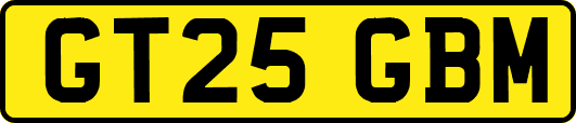 GT25GBM