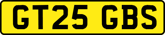 GT25GBS