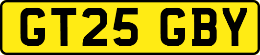 GT25GBY