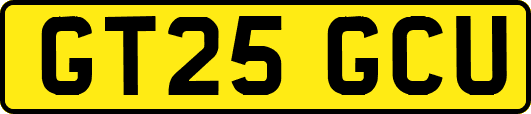 GT25GCU