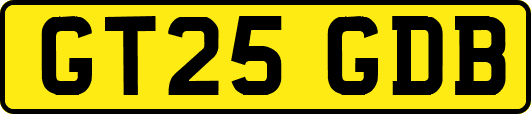 GT25GDB