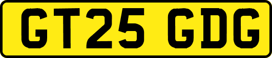 GT25GDG