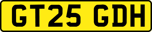 GT25GDH
