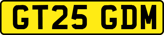 GT25GDM