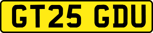 GT25GDU