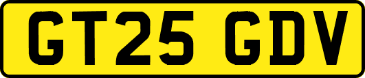 GT25GDV