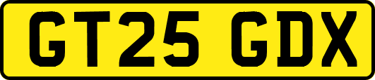 GT25GDX