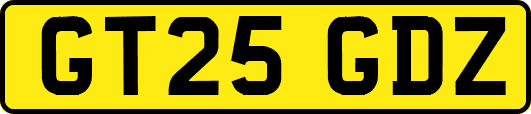 GT25GDZ
