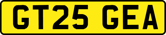 GT25GEA