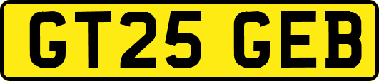 GT25GEB