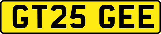 GT25GEE