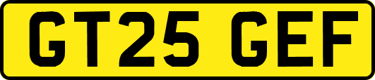 GT25GEF