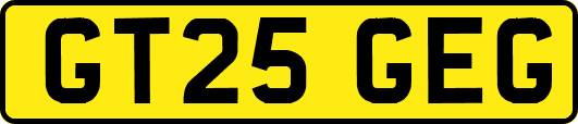 GT25GEG