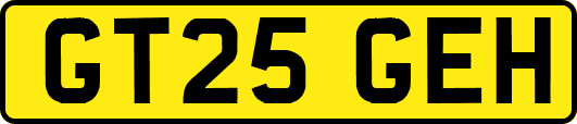 GT25GEH