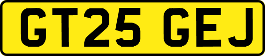 GT25GEJ